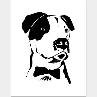 Cute Pit Bull Drawing in Black and White with a Bow Tie Posters and Art